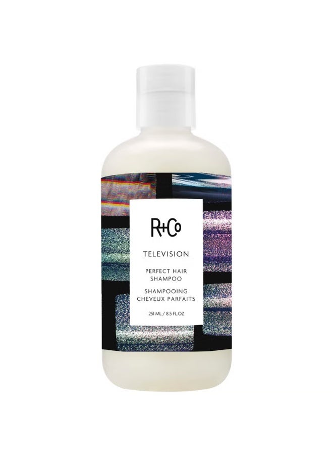 R+Co TELEVISION Perfect Hair Shampoo 251ml - Image 4