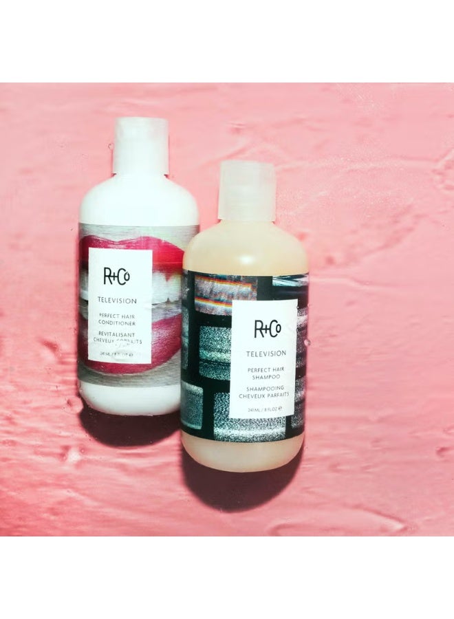 R+Co TELEVISION Perfect Hair Shampoo 251ml - Image 3