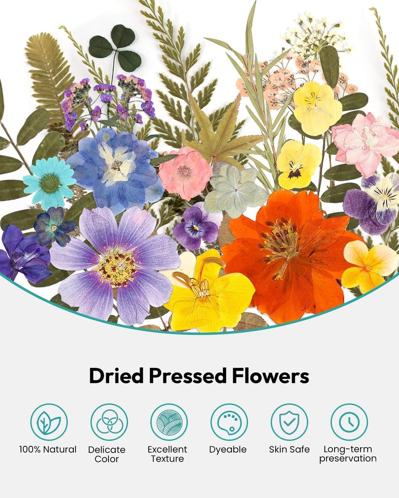 Resiners Dried Flowers, 100Pcs Pressed Flowers for Craft Retro Style Real Natural Dried Flowers Dry Leaves Kit for DIY Making Crafts Resin Soap Candle Scrapbook Supplies Card Making Jewelry - Image 4