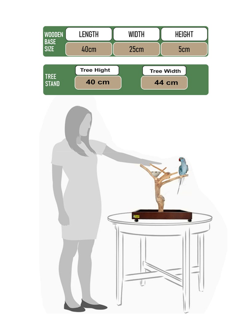 CHEWY BEAK Bird Stand Table Top Natural wooden Parrot Play Stand Indonesian Java wood Tree Perches with Stainless steel feeder small size - Image 2