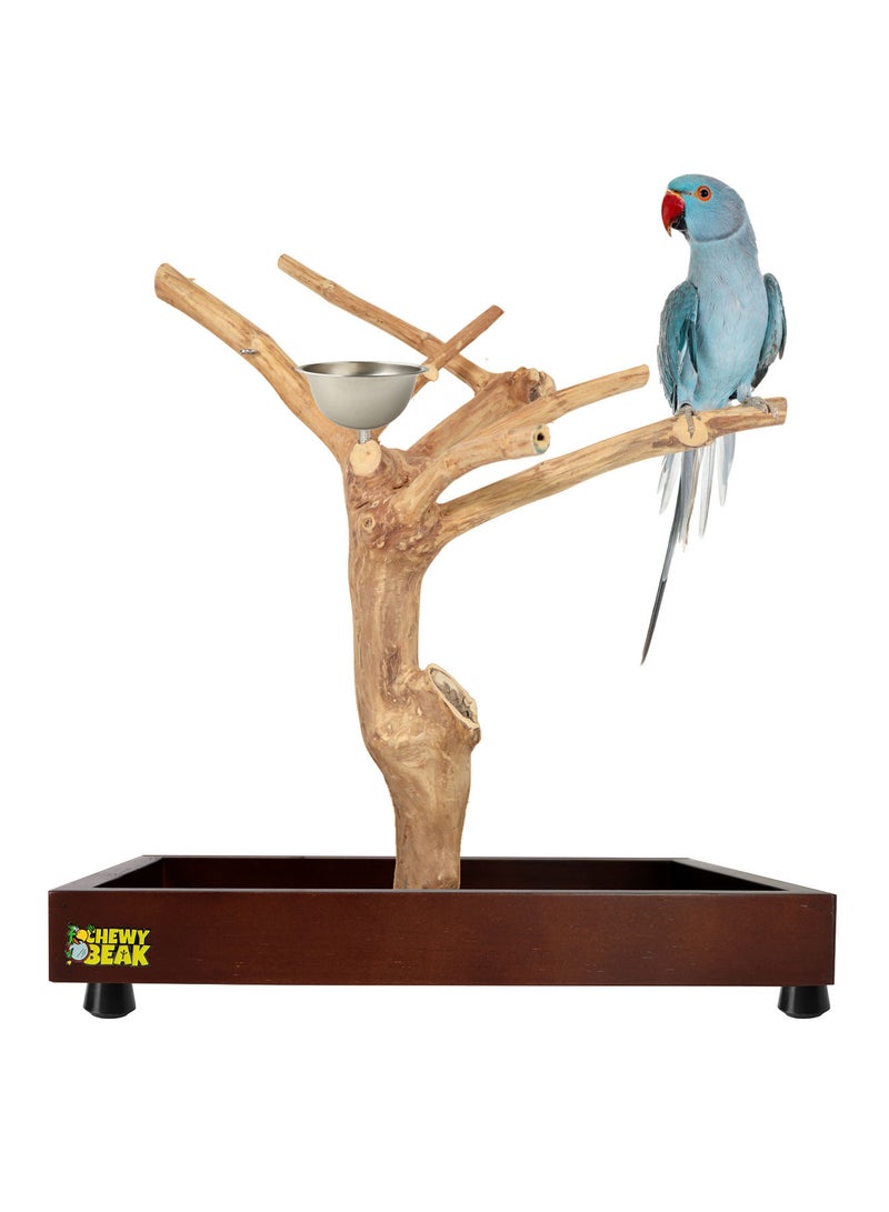 CHEWY BEAK Bird Stand Table Top Natural wooden Parrot Play Stand Indonesian Java wood Tree Perches with Stainless steel feeder small size - Image 1