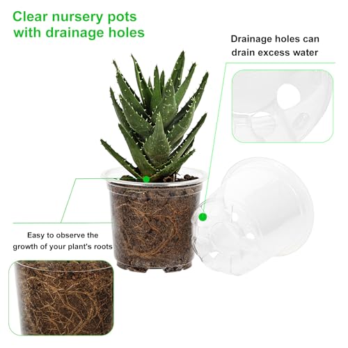 JERIA 30 Pack 6/5/4Inch Clear Nursery Pots with Drainage Holes, Clear Plant Pot for Planting, Transparent Plastic Plant Pots,Durable Seed Starting Pot for Succulents - Image 4