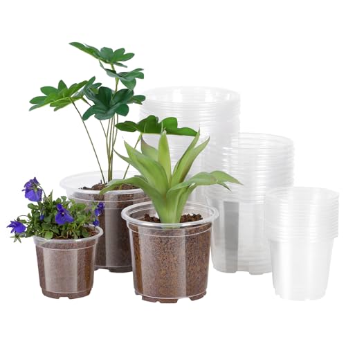 JERIA 30 Pack 6/5/4Inch Clear Nursery Pots with Drainage Holes, Clear Plant Pot for Planting, Transparent Plastic Plant Pots,Durable Seed Starting Pot for Succulents - Image 1
