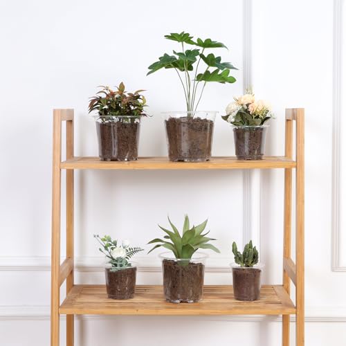 JERIA 30 Pack 6/5/4Inch Clear Nursery Pots with Drainage Holes, Clear Plant Pot for Planting, Transparent Plastic Plant Pots,Durable Seed Starting Pot for Succulents - Image 5