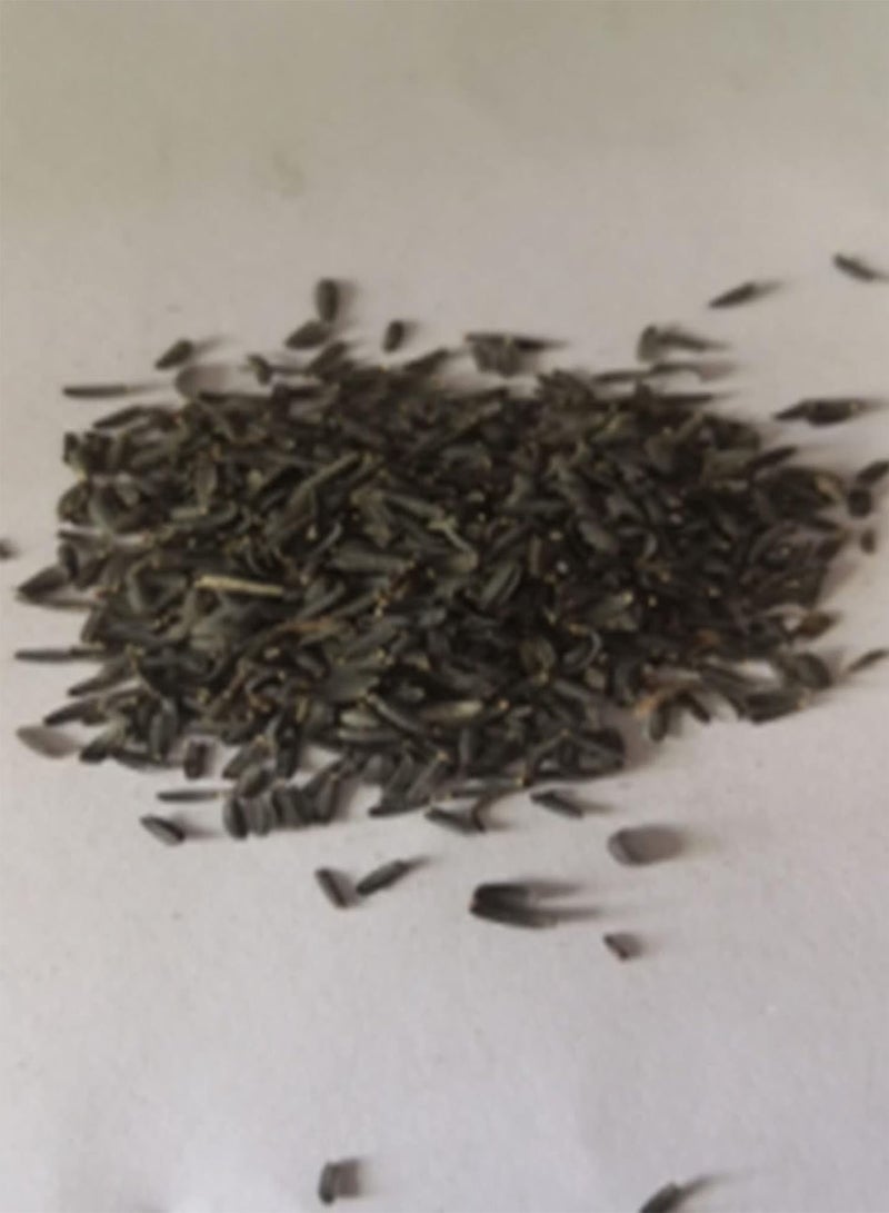 جي جوت كيس واحد من بذور الأقحوان الحلزونية، بذور زهرة المعجزة النادرة، بذور زهرة الأقحوان المعجزة بألوان مختلطة للحديقة - Image 5