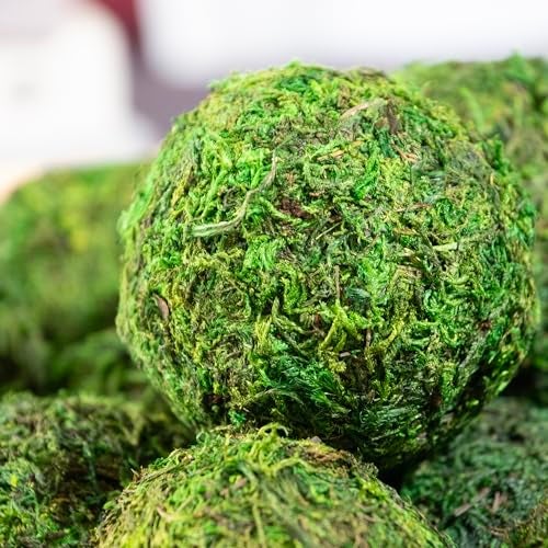 ANDALUCA Decorative Green Moss Balls Bowl Filler Orbs (Pure Moss) - Image 4