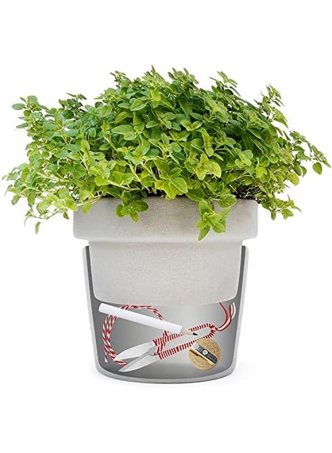 Suck UK Hideaway Plant Pots Secret Stash Key Hider Hide A Key Secret Safe Flower Pot With Hidden Safe And Secret Compartment Hide A Key Outdoor Novelty Hidden Compartment Money Safe - Image 3