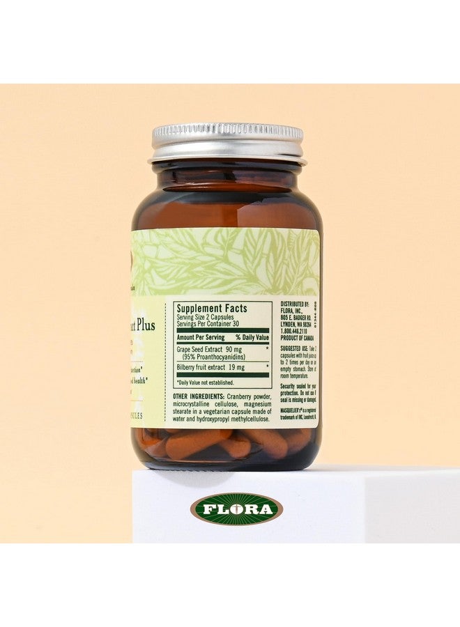 Flora - Grape Seed Extract Plus - Supports Immune & Cellular Health - Contains Bilberry Fruit Extract - Non-GMO & Vegan - 60 Vegetarian Capsules - Image 2