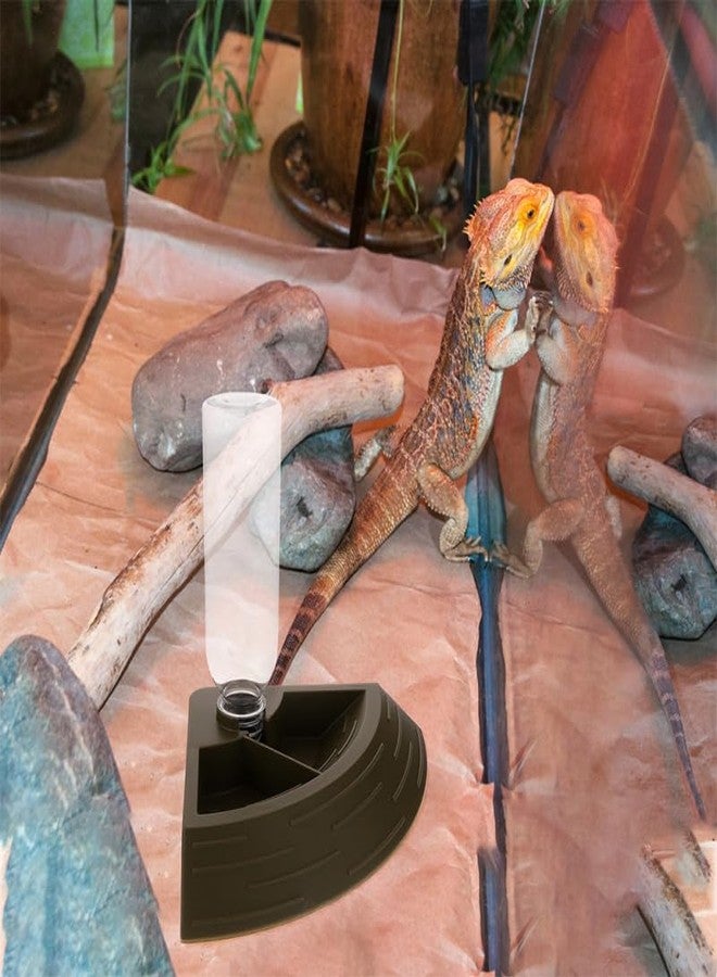 جارنيك وعاء تغذية الزواحف الأوتوماتيكي من جارنيك، وعاء ماء وطعام 2 في 1 للسلاحف والسحالي والضفادع والحرباء، بتصميم زاوية 90 درجة - Image 4