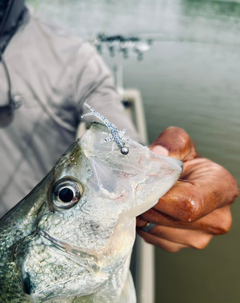 Bobby Garland Itty Bit Mayfly - Pecan Cream - 1.25" - Image 3