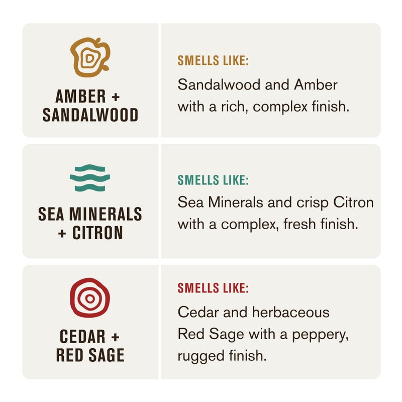 Every Man Jack Men's 2-in-1 Daily Shampoo + Conditioner Variety Pack - Includes 3 Outdoor Inspired Scents Scents - Amber + Sandalwood, Cedar + Red Sage, Sea Minerals + Citron, 13.5 oz (3 Pack) - Image 4