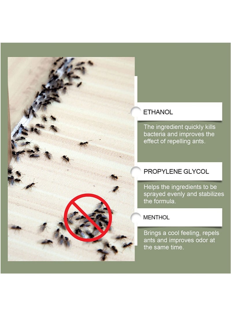 هوزونكس بخاخ طارد للنمل، بخاخ Ameisen Stop Abwehrspray، طارد طويل الأمد، مكونات خفيفة، مناسب للمنزل والمطبخ الخارجي وعتبة النافذة وزواياها، عامل حماية عالمي (60 مل) - Image 5