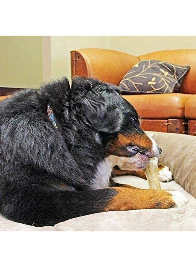 طعام الكلاب Milky Chews Knotted Bone Dog Treat بحجم 5 بوصات من الكالسيوم وعظام الجلد الخام (15 قطعة)، - Image 4