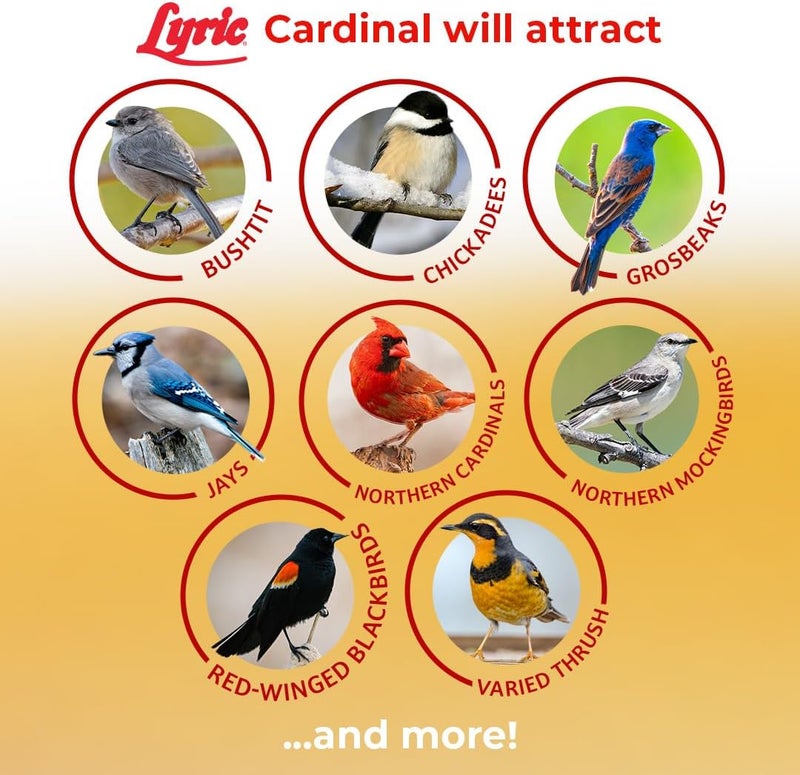 Lyric Cardinal Wild Bird Seed - Sunflower & Safflower Premium Bird Food Mix for Cardinals, Grosbeaks & Blue Jays - 3.75 lb bag - Image 5