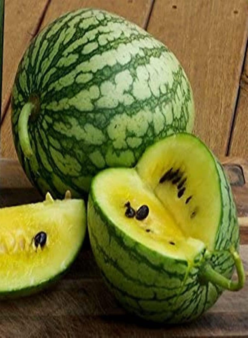GGOOT 50Pcs Non GMO Watermelon Seeds Oval Fruits Rare Yellow Flesh is Tender and Juicy Plant Your Own Fruit Seed in The Garden - Image 1