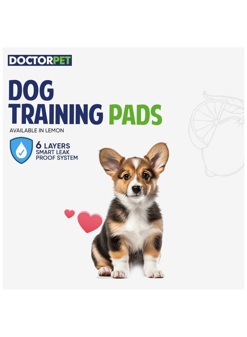 DOCTERPET Doctor Pet Training Pads 60x60cm 30g Regular Lemon 30's - Leakproof, Odor-Controlled, Quick-Dry - Image 2