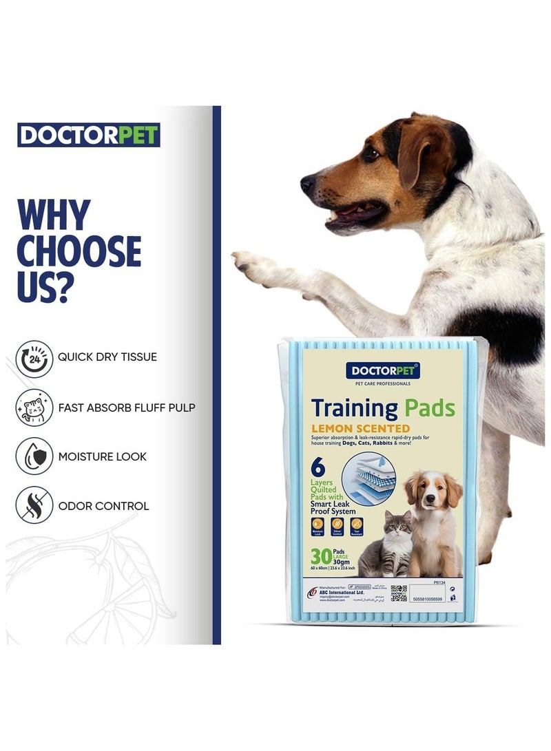 DOCTERPET Doctor Pet Training Pads 60x60cm 30g Regular Lemon 30's - Leakproof, Odor-Controlled, Quick-Dry - Image 3