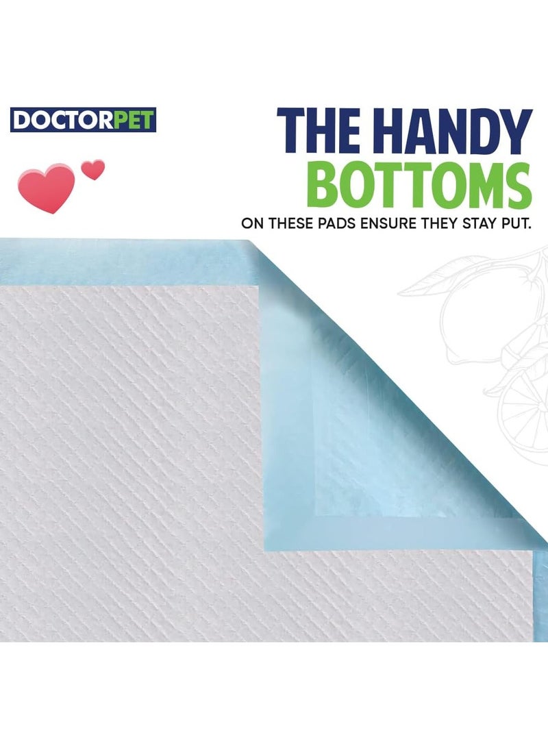 DOCTERPET Doctor Pet Training Pads 60x60cm 30g Regular Lemon 30's - Leakproof, Odor-Controlled, Quick-Dry - Image 4