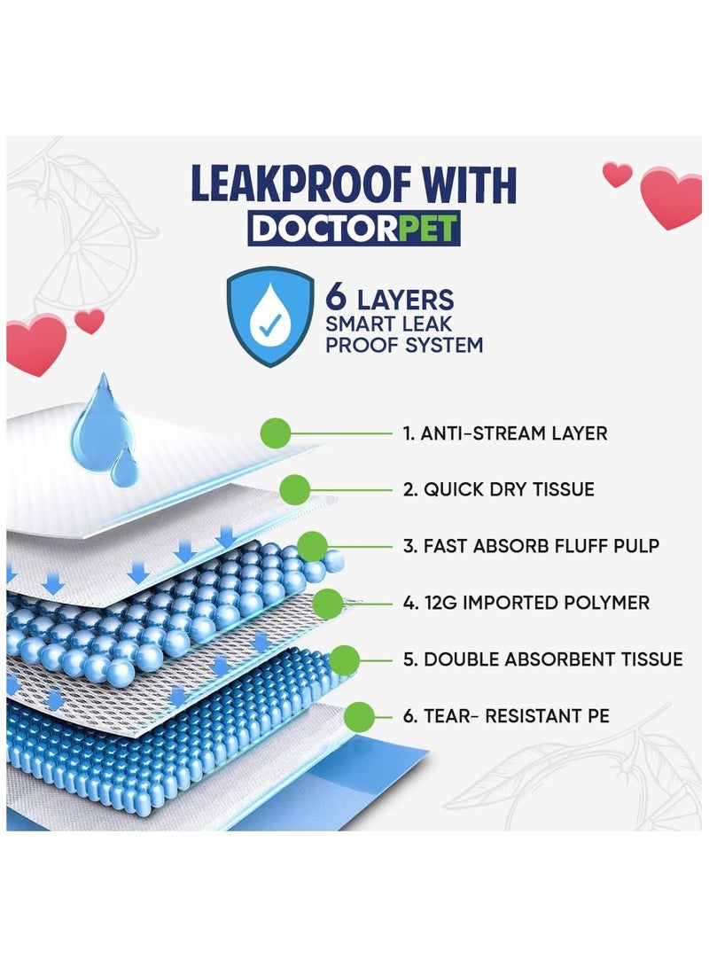 DOCTERPET Doctor Pet Training Pads 60x60cm 30g Regular Lemon 30's - Leakproof, Odor-Controlled, Quick-Dry - Image 5