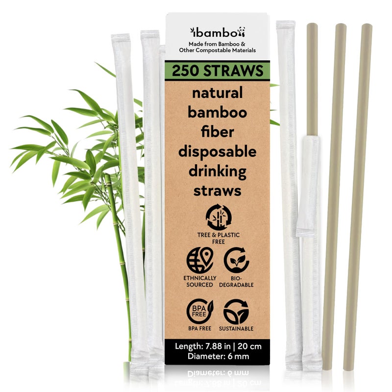 Ibambo Powder Bamboo Straws 250Pack  788 Disposable Straws Individually Wrapped  100 Compostable  Durable  Biodegradable  Made for Hot  Cold Drinks  Perfect for Weddings Parties  Events