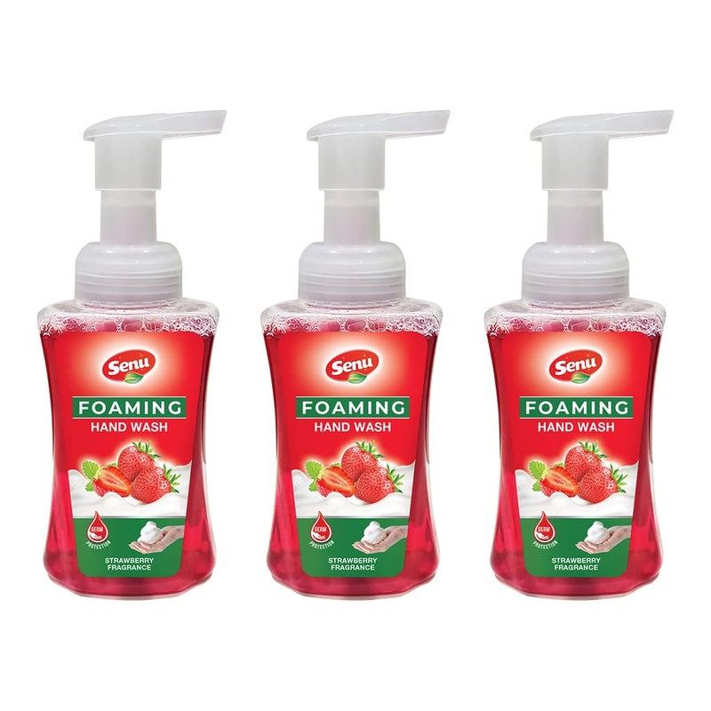 Senu Strawberry Hand Wash Pump With Rich Foam | Moisturizing Hand Wash | Soft on Hand | Germ - Protect Handwash ((Pack of 250 ML x 3 Each)) - Image 1