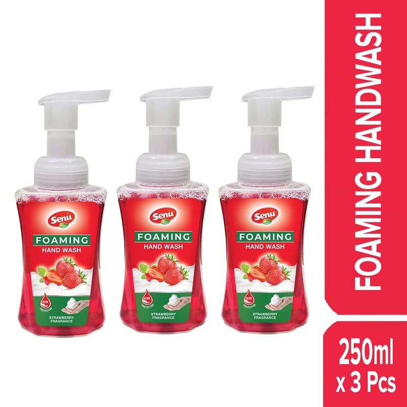 Senu Strawberry Hand Wash Pump With Rich Foam | Moisturizing Hand Wash | Soft on Hand | Germ - Protect Handwash ((Pack of 250 ML x 3 Each)) - Image 2