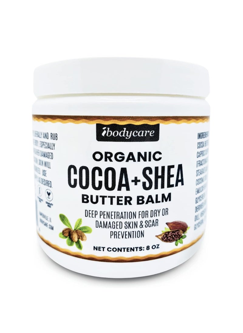 ibodycare Organic Raw Shea Butter Cocoa Butter Body Balm with Coconut Oil 8 oz Unrefined Natural Body Butter Blend for Women Men Kids and All Skin Types 
