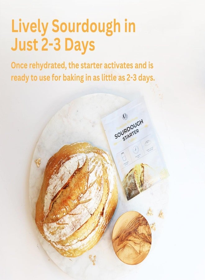 So Blessed Better Bread Premium Heirloom Sourdough Starter Culture So Blessed Heirloom Style Freeze Dried Starter Culture for Baking Sourdough Bread | Perfect for Pancakes, Biscuits, Pretzels, & More | Non-GMO Prebiotic Artisan Bread | Made with Organic Ingredients | Ready 5 Times Faster - Image 3