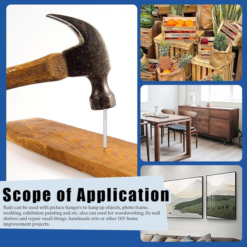 Royal Apex 21/2 Inch 5kg Common Wire Round Head Nails - Image 5