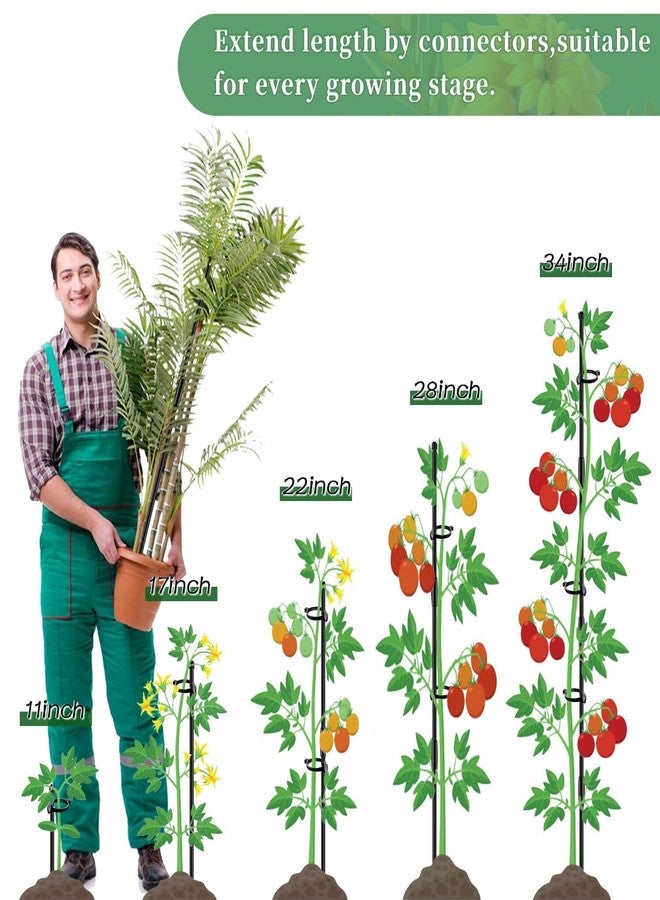 SupKing Plant Stakes 17inch &11inch SupKing Adjustable Length Plant Support Stake 16Pcs Black Orchid Stick with Clips for Indoor Outdoor,Garden Pole for Potted Tomato Amaryllis Vegetables with 20 Ties - Image 5