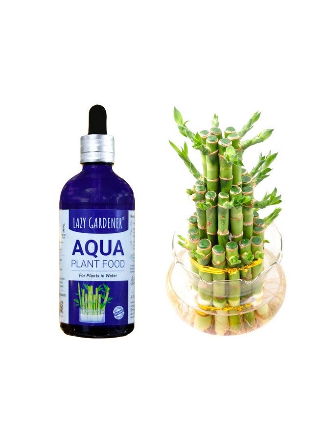 Lazy Gardener سماد نباتات أكوا من لزي جاردنر | سماد سائل للبامبو ونبات المال ونباتات الماء الداخلية | سماد نباتات أكوا لزراعة الهيدروبونيك والنباتات المائية (100 مل) - Image 2