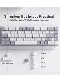 REDRAGON K631 CASTOR 65% Wired RGB Gaming Keyboard, Quiet Red Switch - 68 Keys Compact - w/100% Hot-Swap Socket, Free-Mod Plate Mounted PCB & Dedicated Arrow Keys (White Grey)  - Image 2