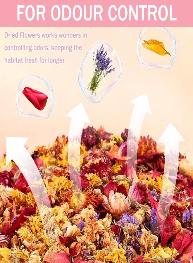 OULIGET Hamster Bedding Flower Herb Bedding Habitat Decor,Odor Control Dried Flowers Including Rose Buds,Lavender,Jasmine,Chrysanthemum,Lemongrass,Mint, Peony - Image 3