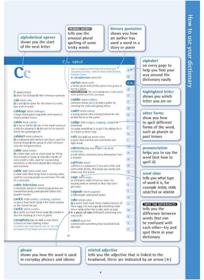 null - Oxford Primary Dictionary - Image 1