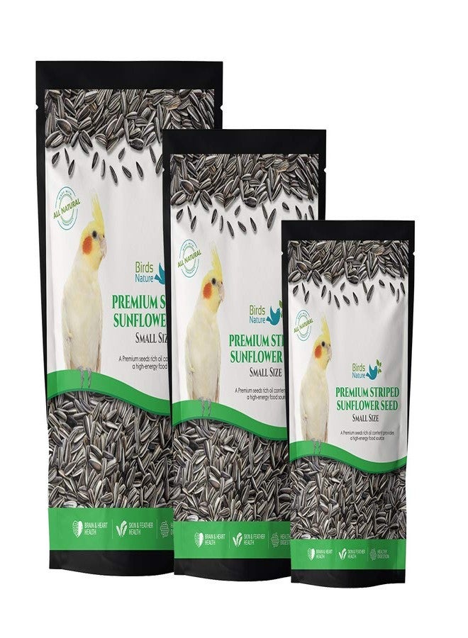 BirdsNature بذور دوار الشمس المخططة الممتازة من بيردز ناتشر، حجم صغير، مناسبة للكوكاتيل، والكيك، والببغاء الصغير، والكونيور، واللوري، واللوريكيت، والبويسفالوس، وطيور الحب، والكوكر، والطيور البرية (2500 غرام). - Image 1