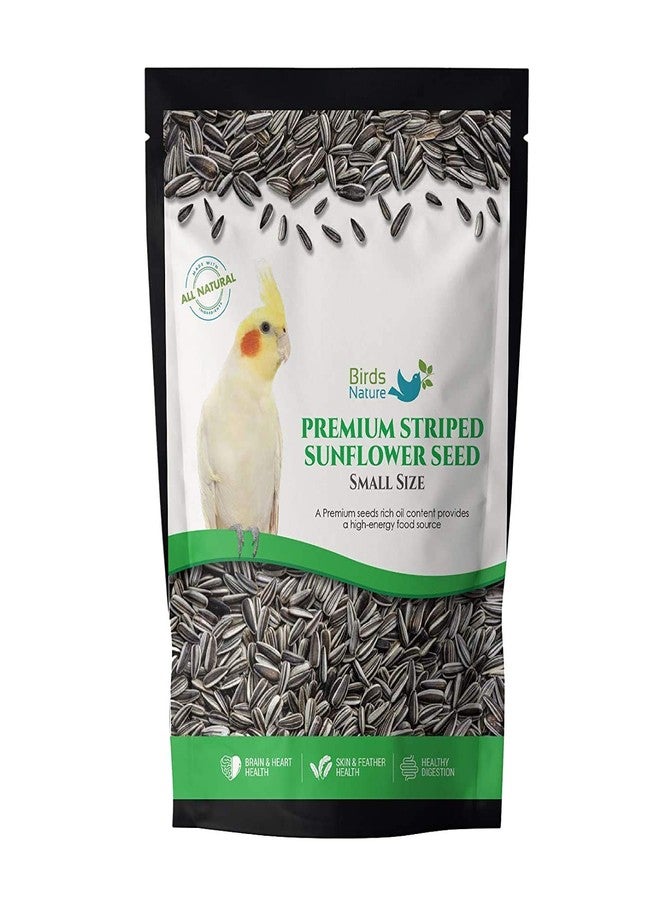 BirdsNature بذور دوار الشمس المخططة الممتازة من بيردز ناتشر، حجم صغير، مناسبة للكوكاتيل، والكيك، والببغاء الصغير، والكونيور، واللوري، واللوريكيت، والبويسفالوس، وطيور الحب، والكوكر، والطيور البرية (2500 غرام). - Image 2