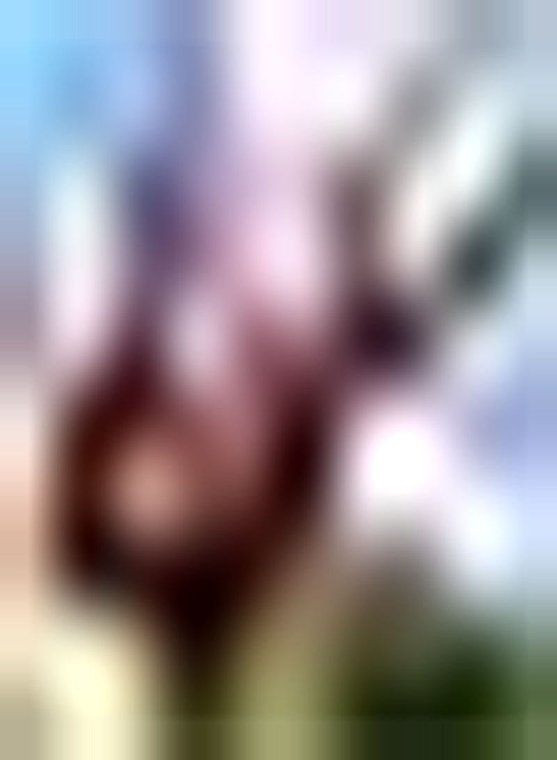 جي جوت 100Stück Pitaya Samen Drachenfrucht Starkes Aroma Süß und verlockend Brauchen Nicht viel Pflege genießen Sie Freude an der Ernte Starke Zierpflanze - Image 2