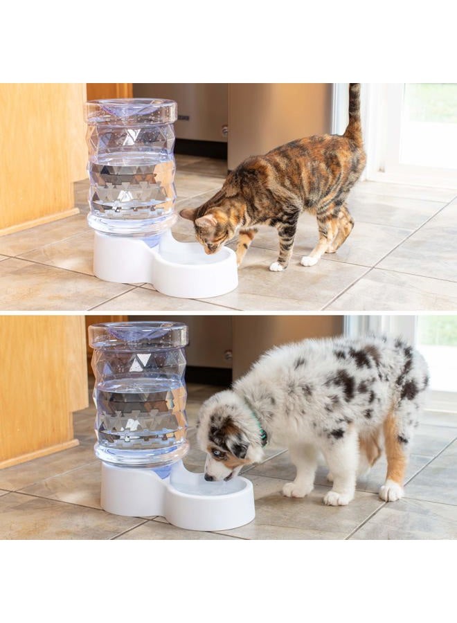 petfusion H20 Gravity Pet Water Dispenser Dog Bowl Automatic Water Station for Cats and Dogs - Image 4