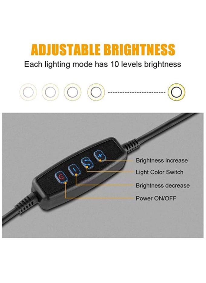 Generic - 3 in 1 Professional Live Stream Kit with Small USB Ring Light Mic Holder CellPhone Web Cam Holder Premium Stand For Makeup Video Shoots Live Video Calling And More - Image 1