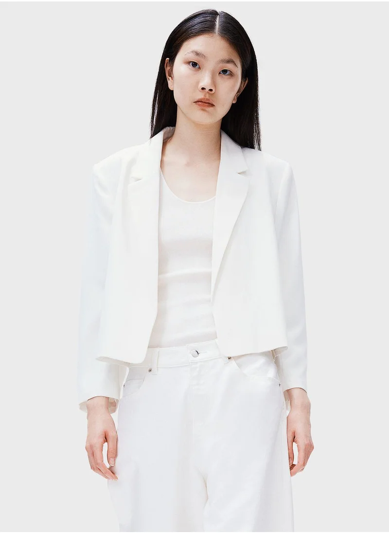 H&M Tailored Blazer