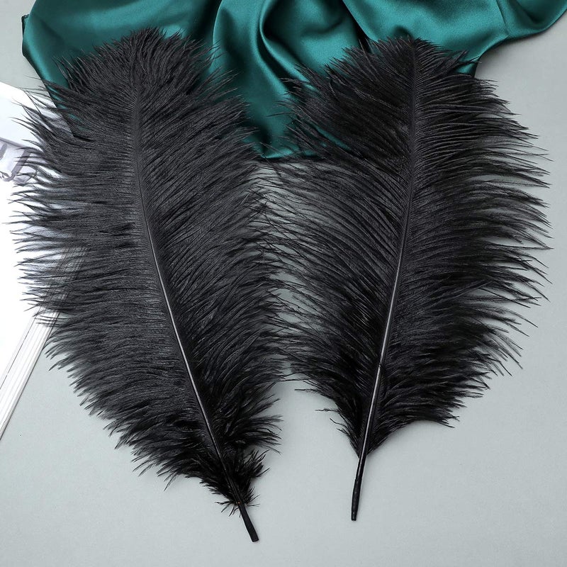 Ballinger 24pcs Natural Black Ostrich Feathers 10-12inch (25-30cm) for Wedding Party Centerpiecesï¼ŒFlower Arrangement and Home Decoration. - Image 4