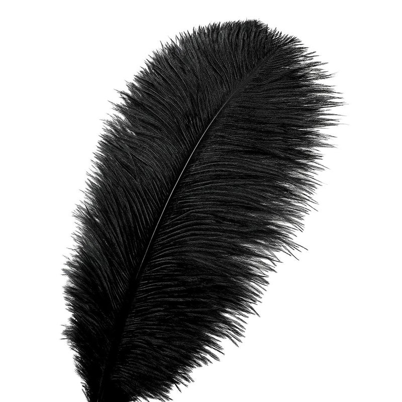 Ballinger 24pcs Natural Black Ostrich Feathers 10-12inch (25-30cm) for Wedding Party Centerpiecesï¼ŒFlower Arrangement and Home Decoration. - Image 2