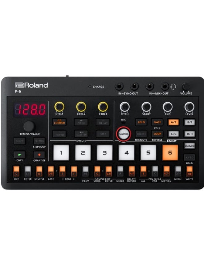 Roland P-6 Sound Module