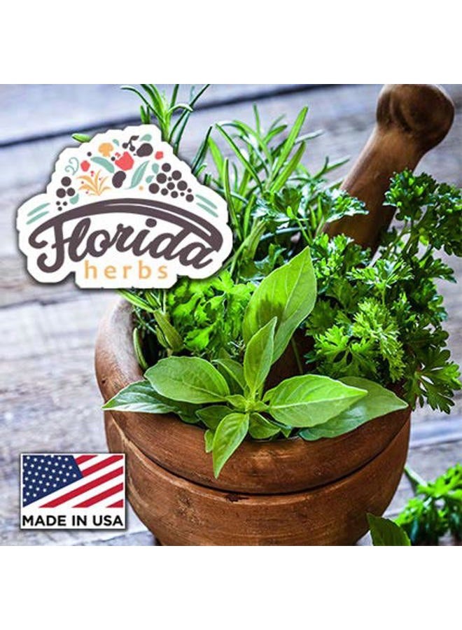 FLORIDA HERBS صبغة فاليريان من فلوريدا، مستخلص فاليرينا، قطرات (فاليرينا أوفيكينا ليس) جذر مجفف - Image 4