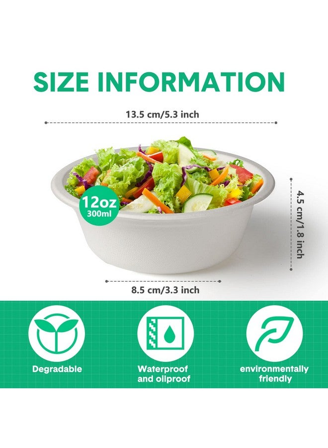 Potchen 300 Pack Paper Bowls Quality White Disposable Bowls Small Sugar Cane Fibers Party Bowls for Ice Cream Fruits Salad Soup Hot or Cold Use Catering Picnics Camping and Restaurant Supplies (12 oz) - Image 2