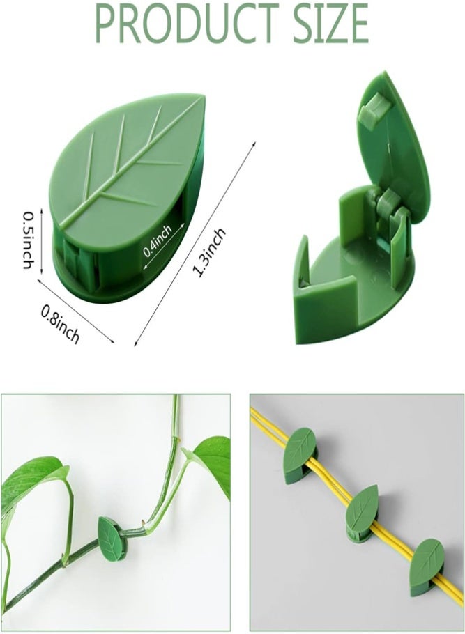 BELLSBERRY 60 Pcs Plant Climbing Clips – Wall Fixing Vine Holders, Money Plant Support Hooks with Leaf Design for Indoor & Garden Plants - Image 2
