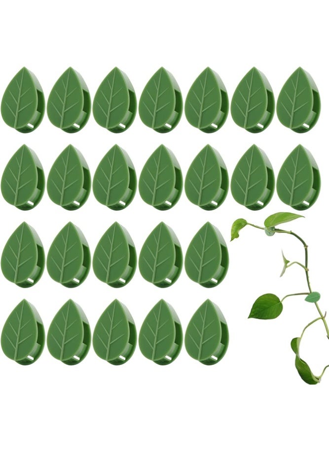 BELLSBERRY 60 Pcs Plant Climbing Clips – Wall Fixing Vine Holders, Money Plant Support Hooks with Leaf Design for Indoor & Garden Plants - Image 1