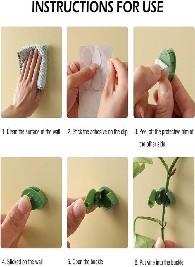 BELLSBERRY 60 Pcs Plant Climbing Clips – Wall Fixing Vine Holders, Money Plant Support Hooks with Leaf Design for Indoor & Garden Plants - Image 3