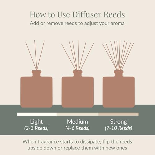 Archipelago Botanicals Lanai Reed Diffuser, Home Fragrance Reed Diffuser, Includes Fragrance Oil, Frosted Glass Vessel & 10 Diffuser Reeds, Perfect for Home, Office or Gift, 7.6 Fl Oz - Image 4
