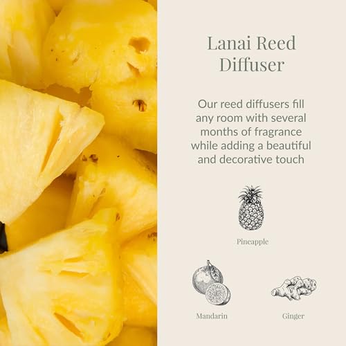 Archipelago Botanicals Lanai Reed Diffuser, Home Fragrance Reed Diffuser, Includes Fragrance Oil, Frosted Glass Vessel & 10 Diffuser Reeds, Perfect for Home, Office or Gift, 7.6 Fl Oz - Image 2